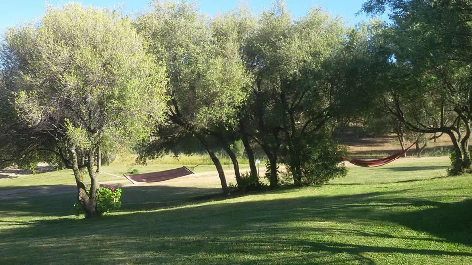 Agriturismo Sa Mendhula Cugnana Exterior foto